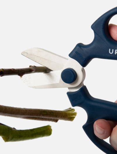 UrbanStems Floral Shears